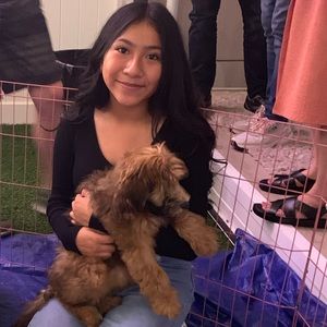 Meet your Posher, Sherli